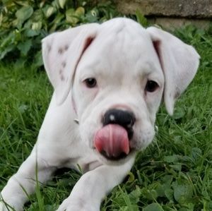 Meet your Posher, Kim